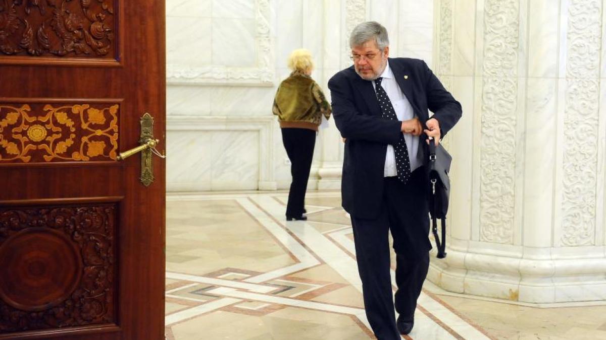 georgica_severin_34104400