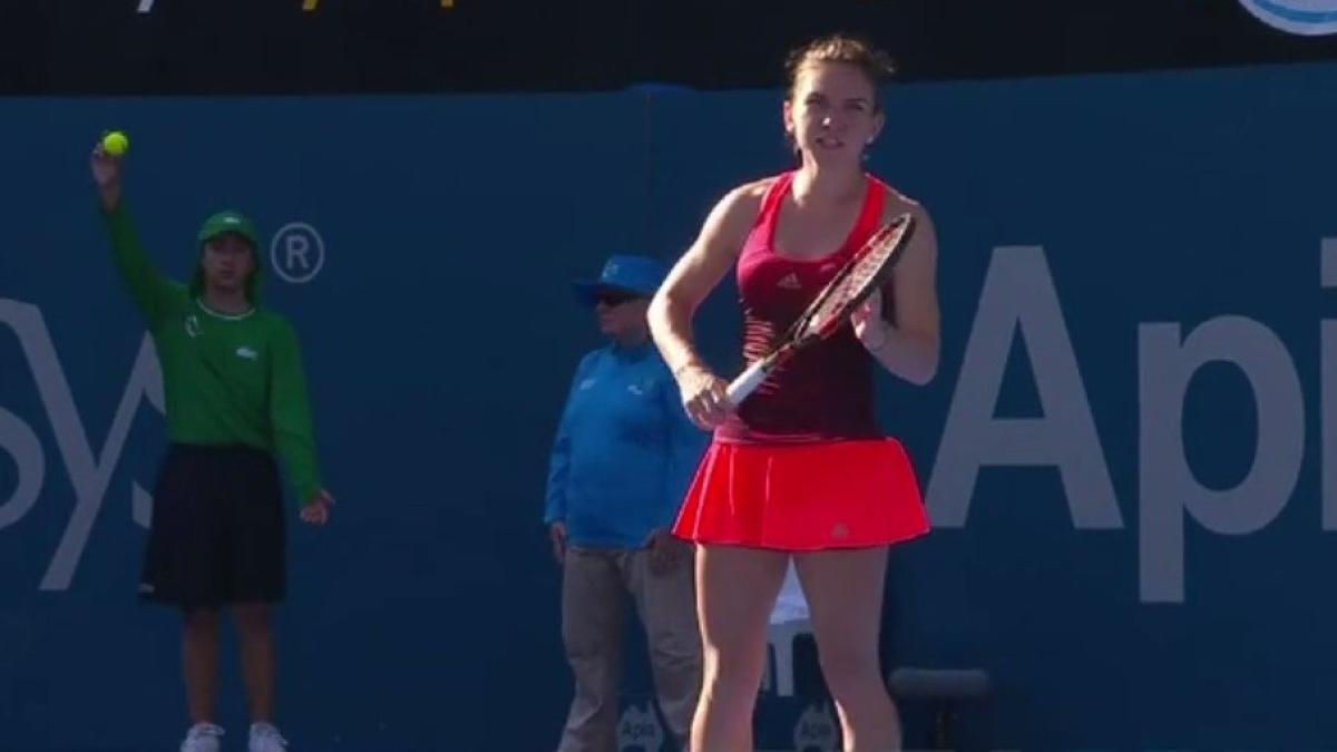 halep_sydney_2016_43533600