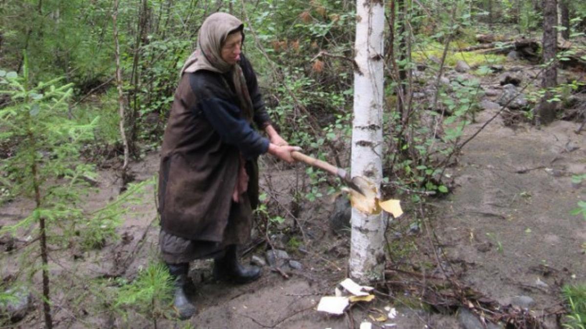 ultimul membru in via a al unei familii ultra ortodoxe evacuata din siberia video