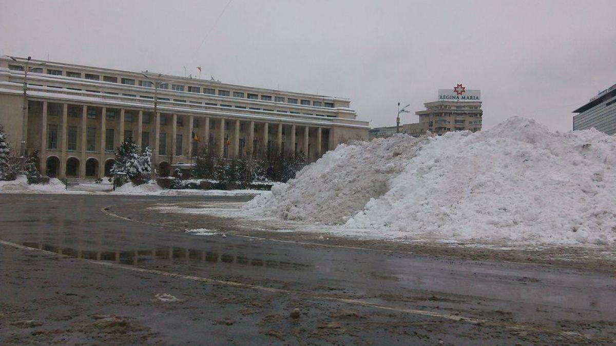 zapada_76_e35621dadf_94461300