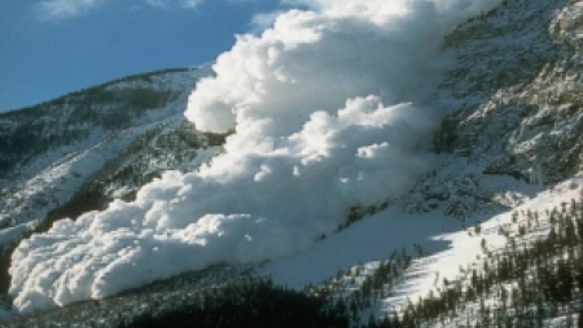 b1365080855_82463400