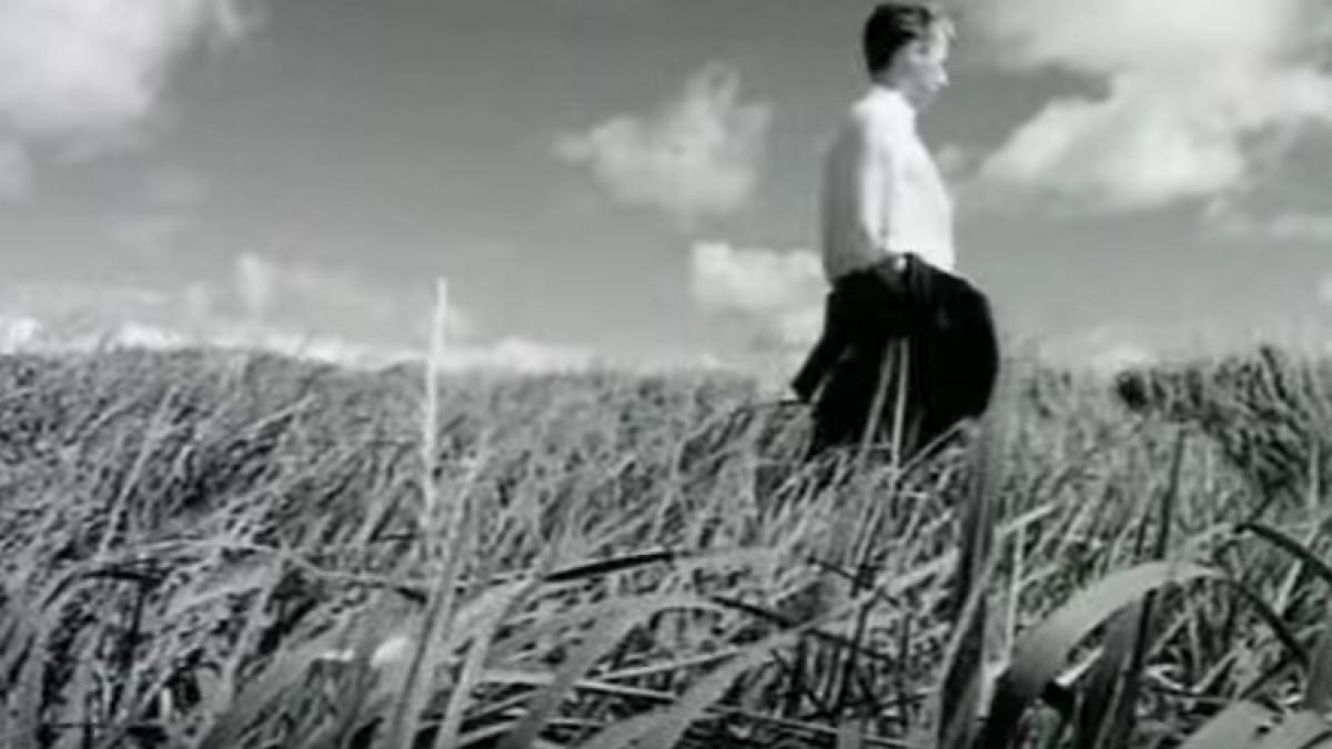 black celebru pentru melodia wonderful life a murit video