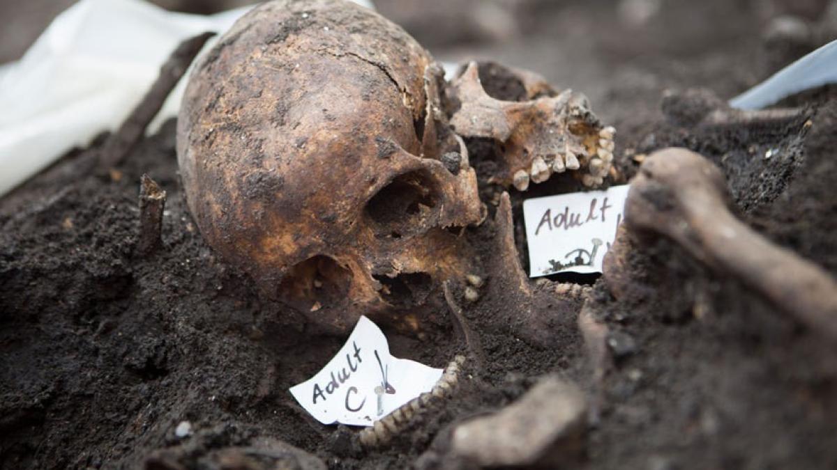 casa poporului construita pe un cimitir al ciuma ilor dezvaluirile comandantului de antier