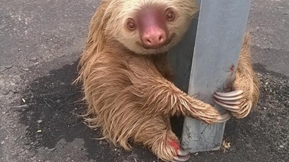 czgo5nuw0amwwbx_07472800