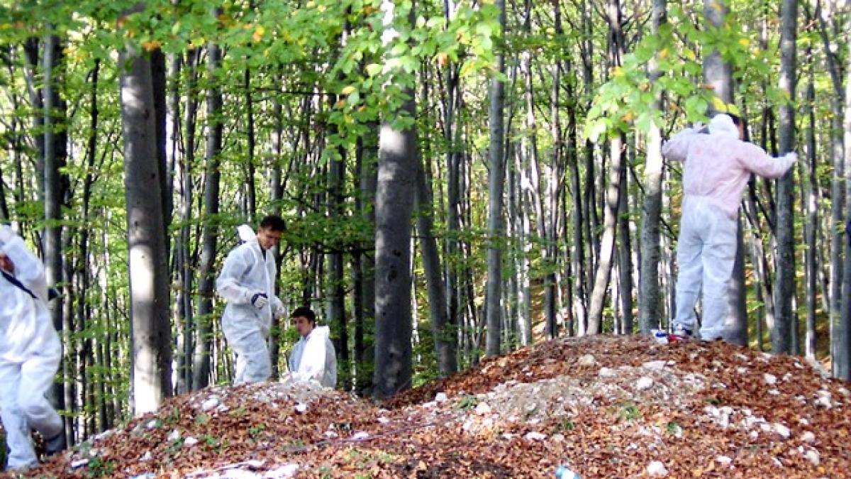 cazul_elodia_ghinescu_037_2_64771400