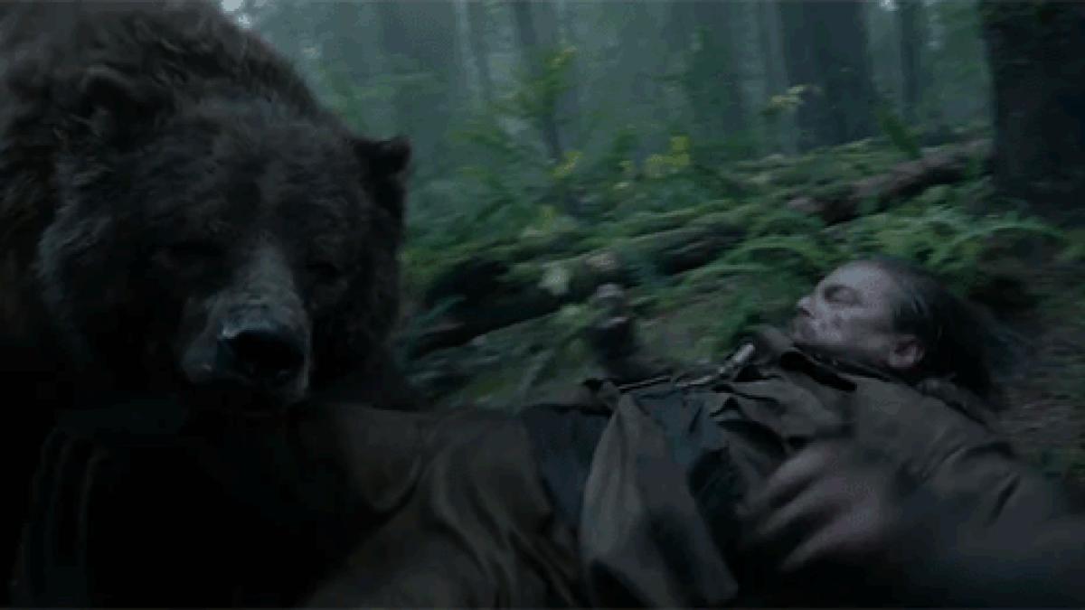 the_revenant_bear_leo_94252900