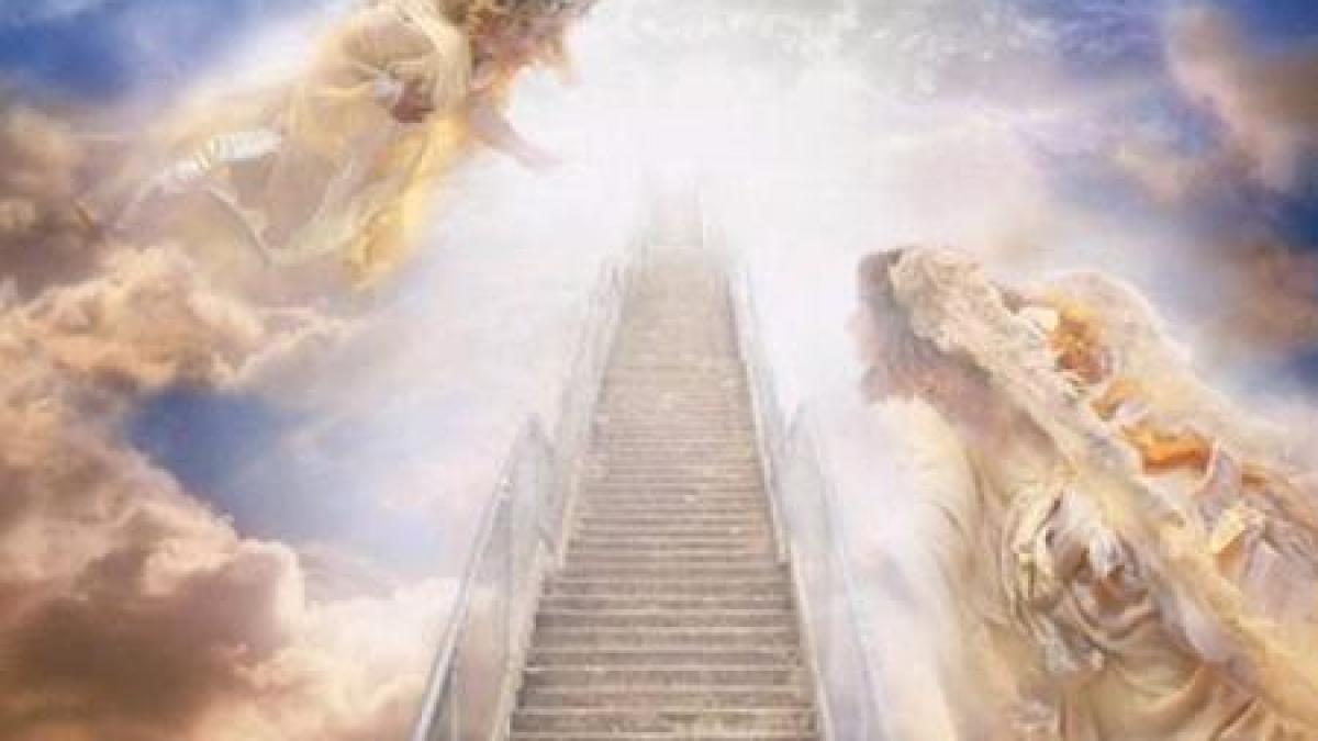 poarta_raiului_63413600