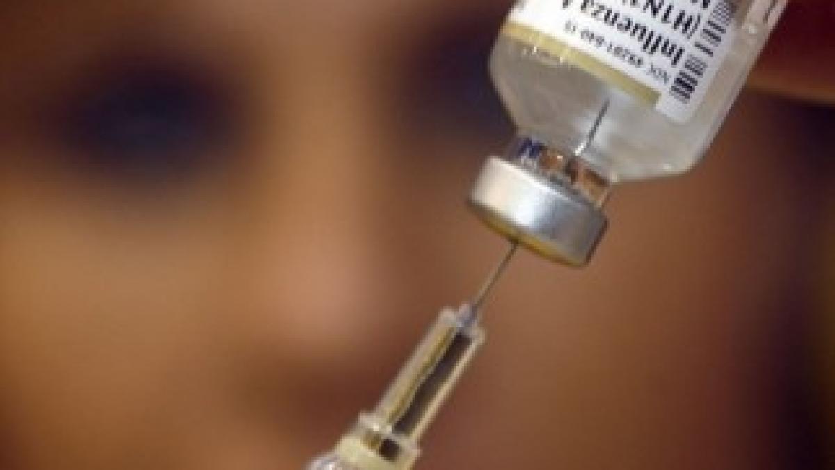 111111gripa-porcina-mediafa