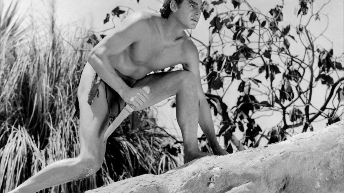 tarzan ar putea deveni brand turistic pentru timi oara