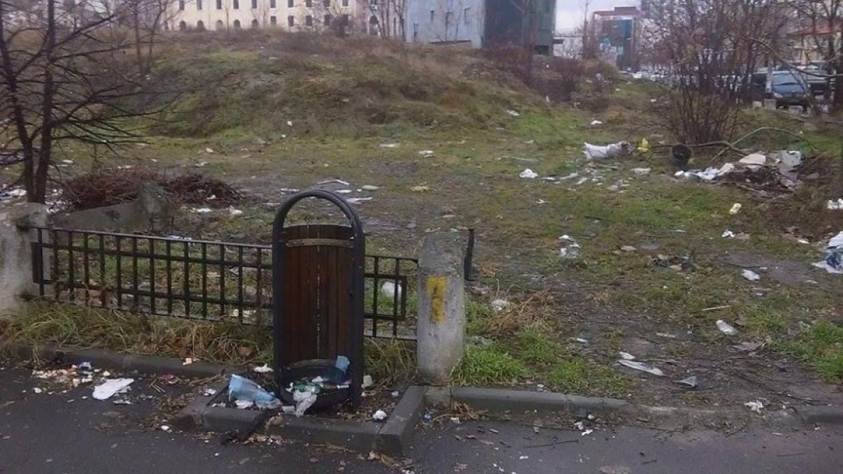 photo_9_56b349707ef5a_56910300