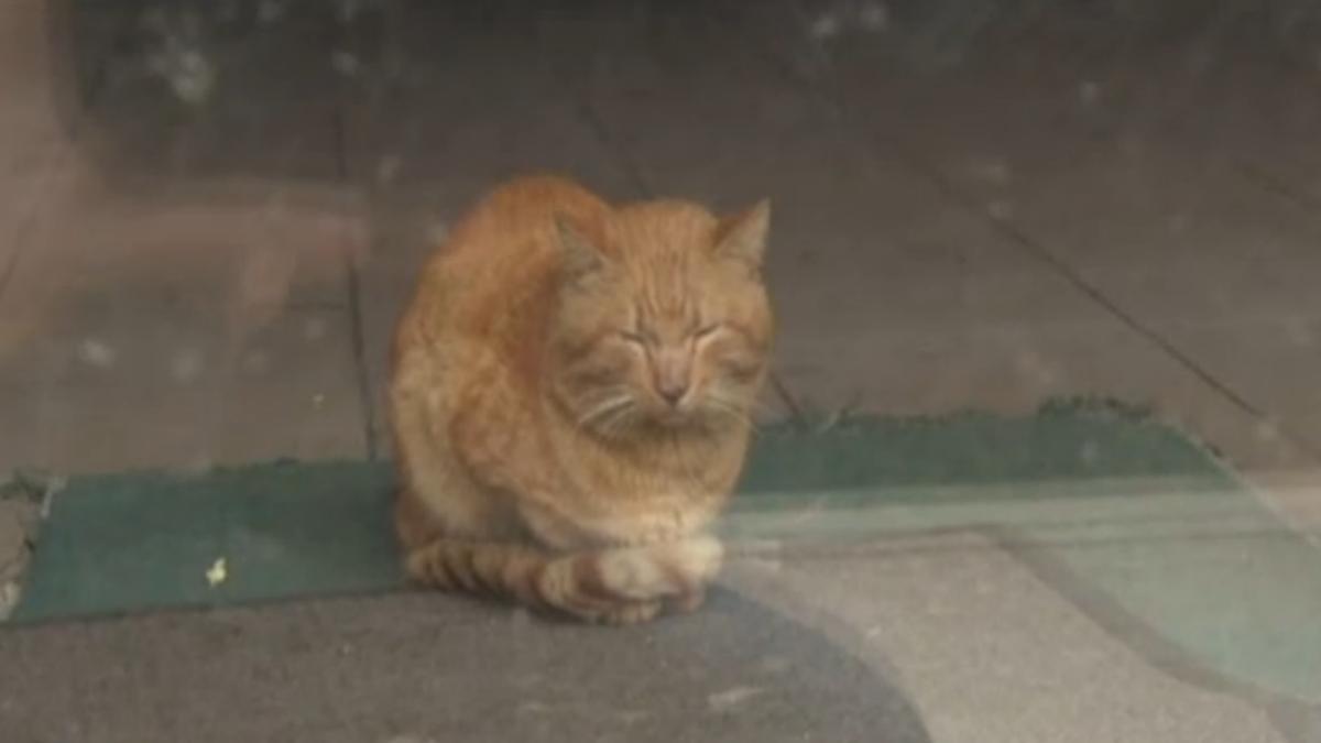 screen_shot_2016_02_04_at_23_50_58_38236700