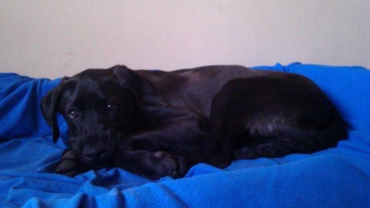 jack_600x450_52795000