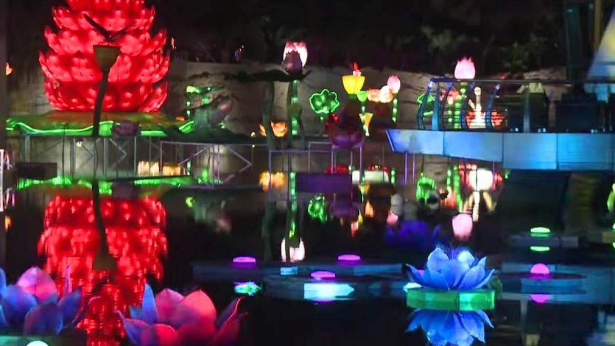 dubai cea mai mare gradina de lumini din lume a fost inaugurata