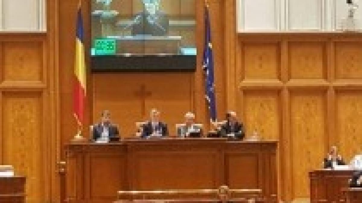 pnl_camera_gorghiu_tribuna_35799300