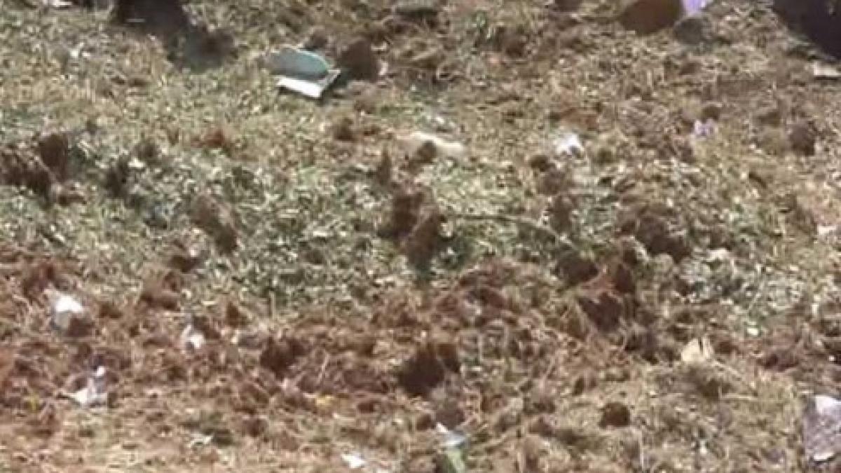 locul_in_care_a_cazut_meteoritul_494x304_04269500