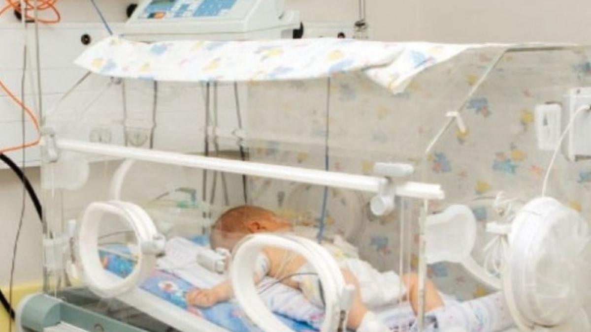 bebelusi_64708500_80904200