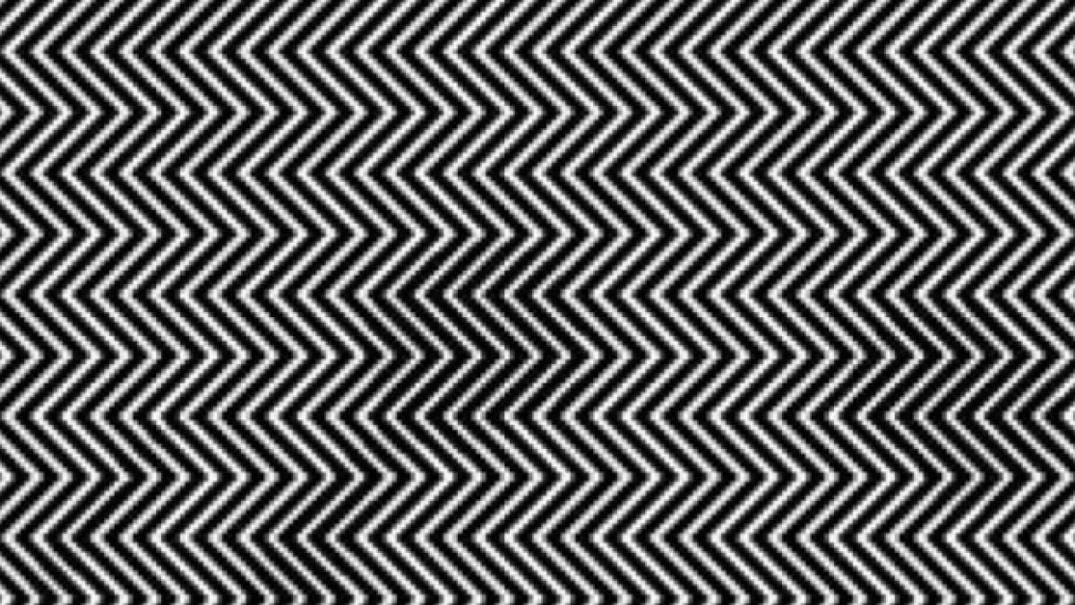 tu_reusprc-ccprc-a7esprc-ccprc-a7ti_saprc-ccprc-86_gaprc-ccprc-86sesprc-ccprc-a7ti_ursul_panda_din_imagine_96376300