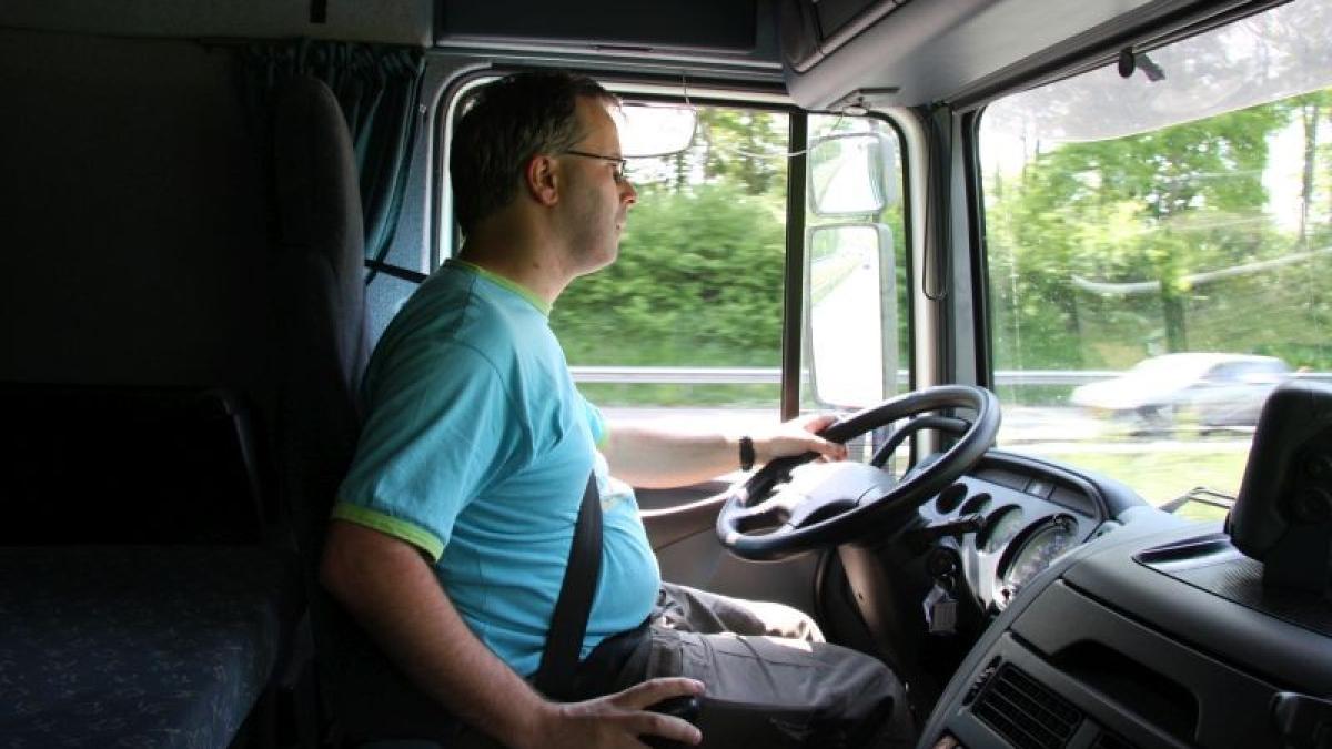 soferi_locuri_de_munca_in_ue_2015_86668400