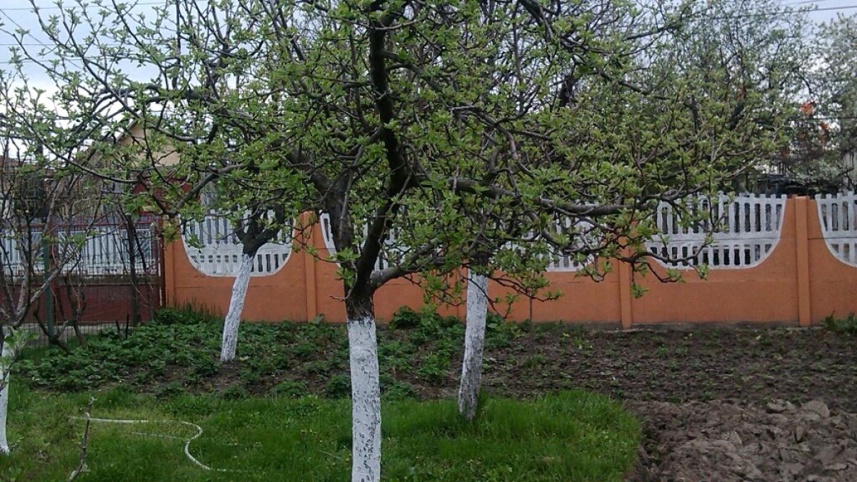 cymera_20130422_080125_19364600