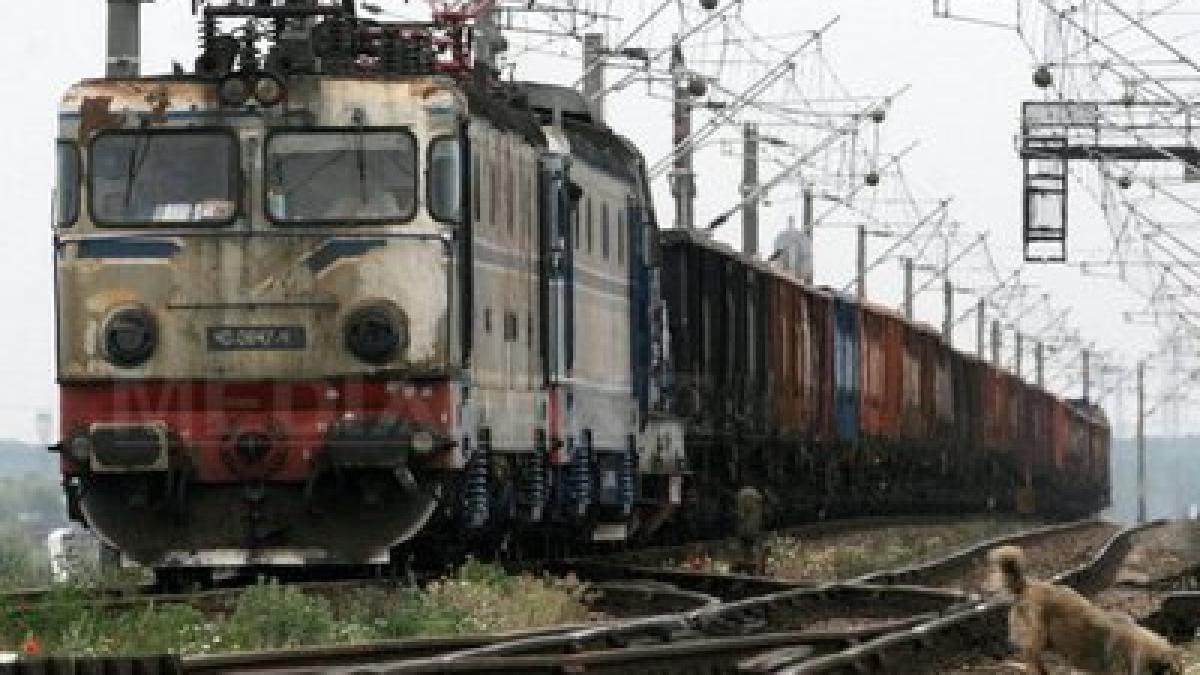 tren_marfa_gabriel_petrescu_60262700