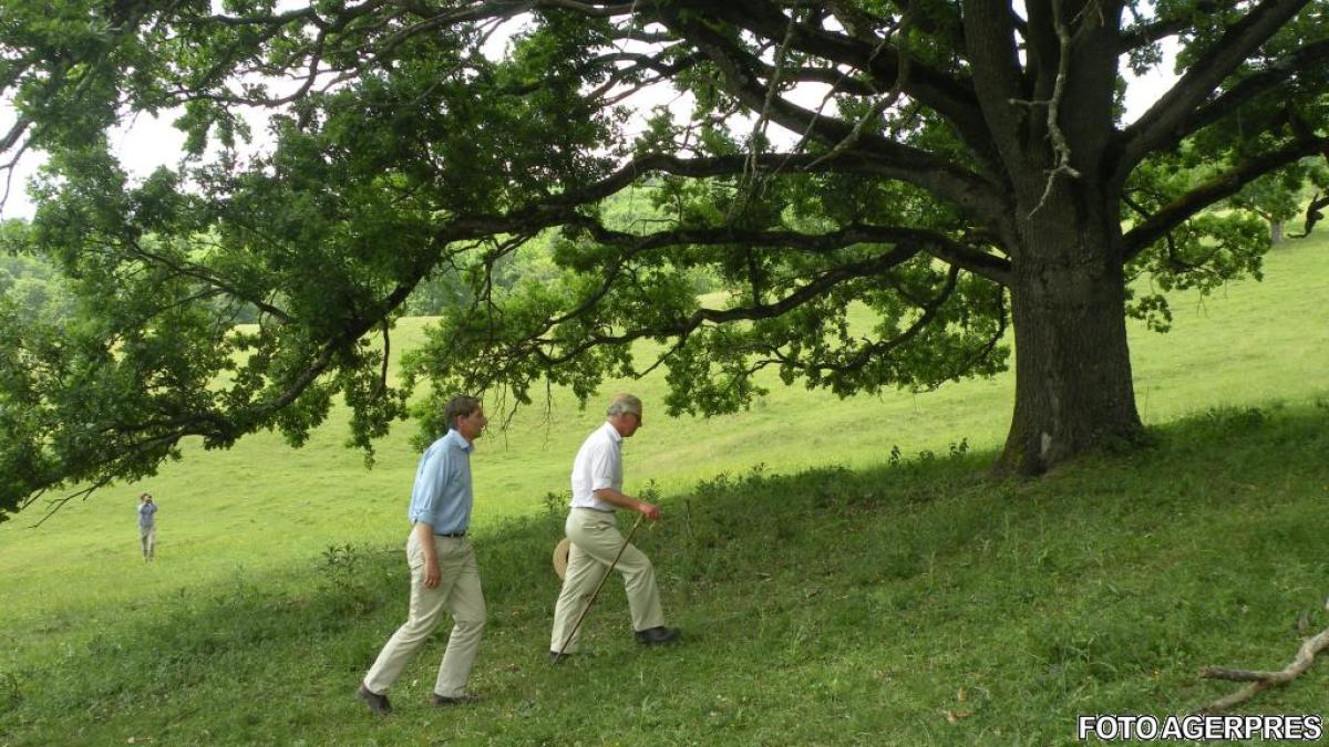 printul_charles_15664200