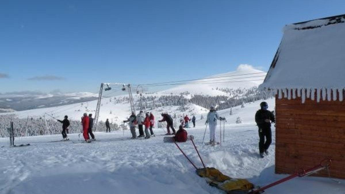 schi_sureanu_19861500