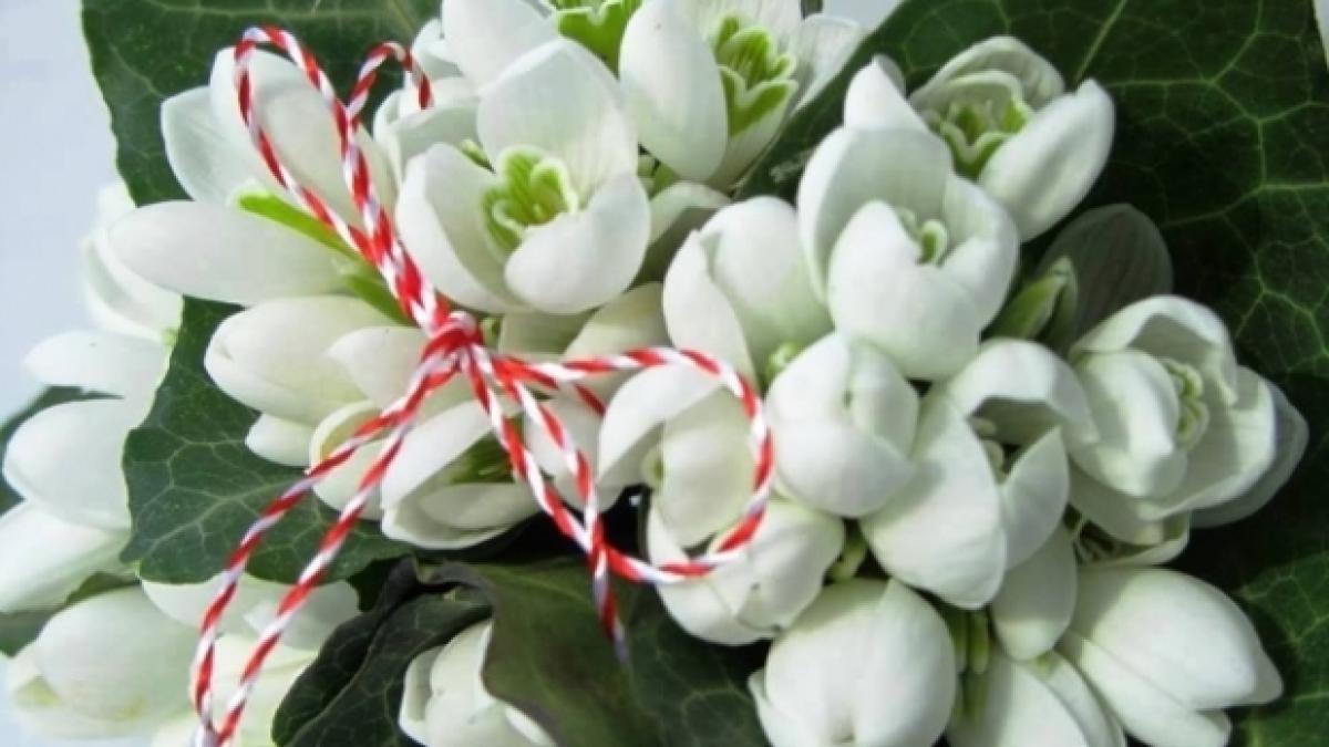 martisor_55790100