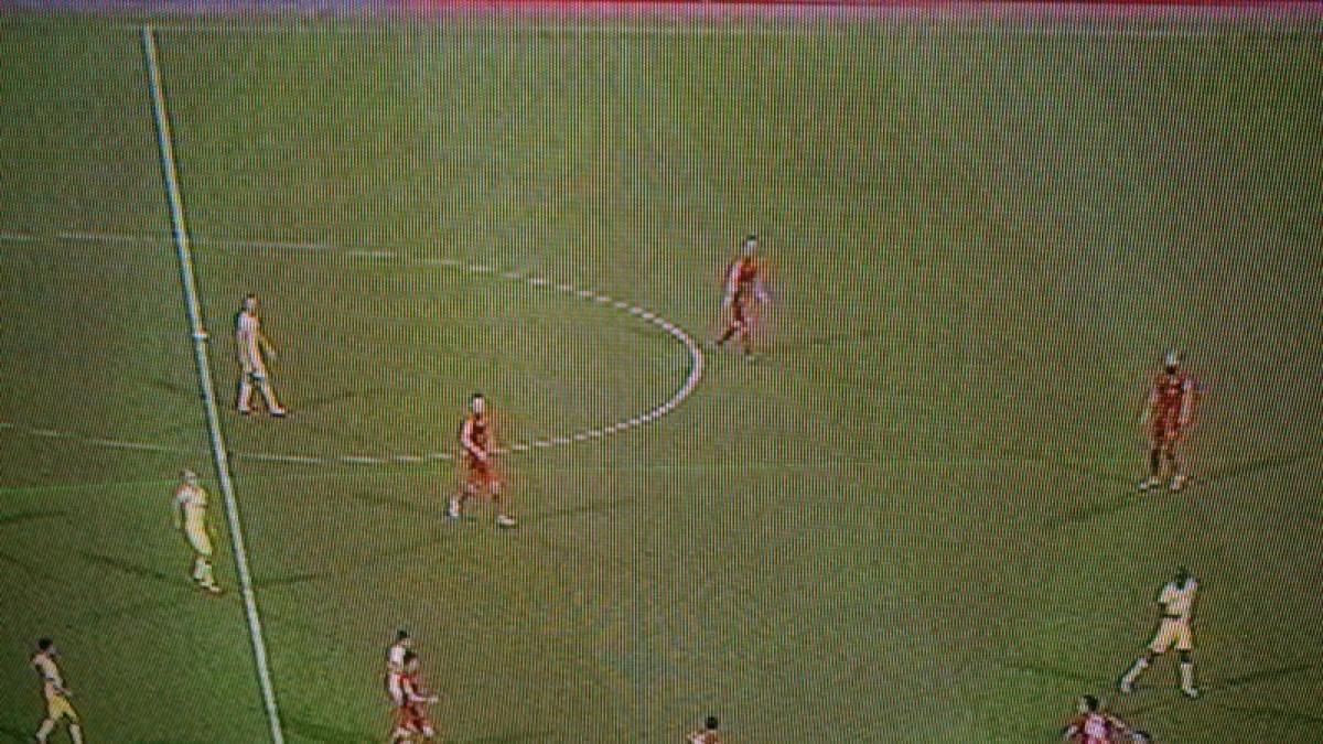 12782285_881144465327774_265246397_n_19837300