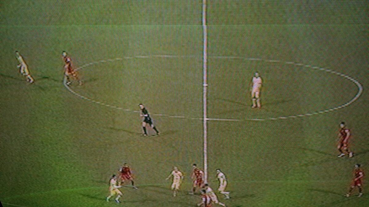 12788035_881144438661110_925072245_n_71804500