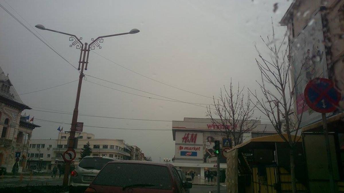 12804123_882449485197272_2044486320_n_82122600