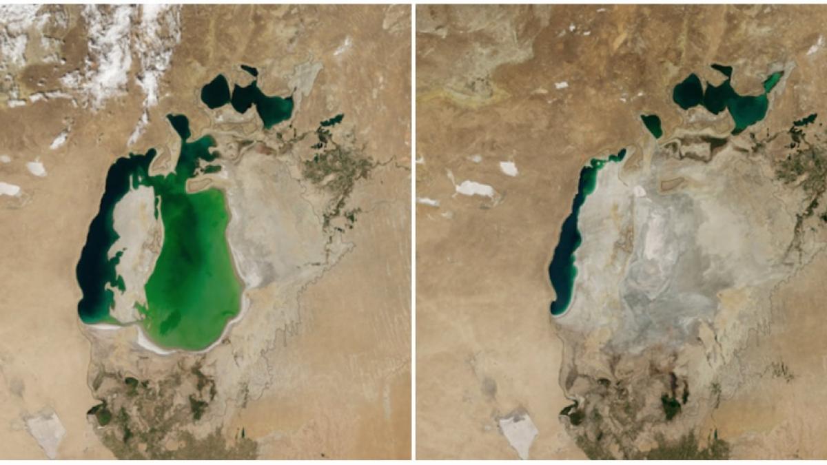 776005_1000_144618539310_78696200