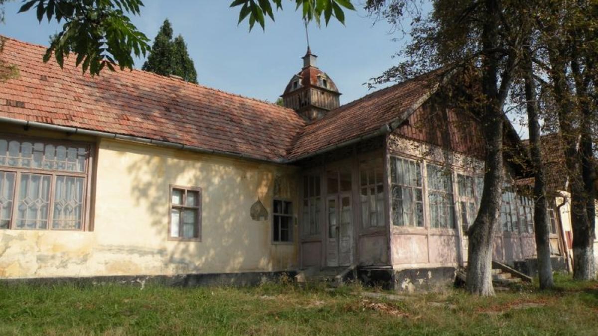 casa_iuliu_maniu_badacin_salaj_6_35959900