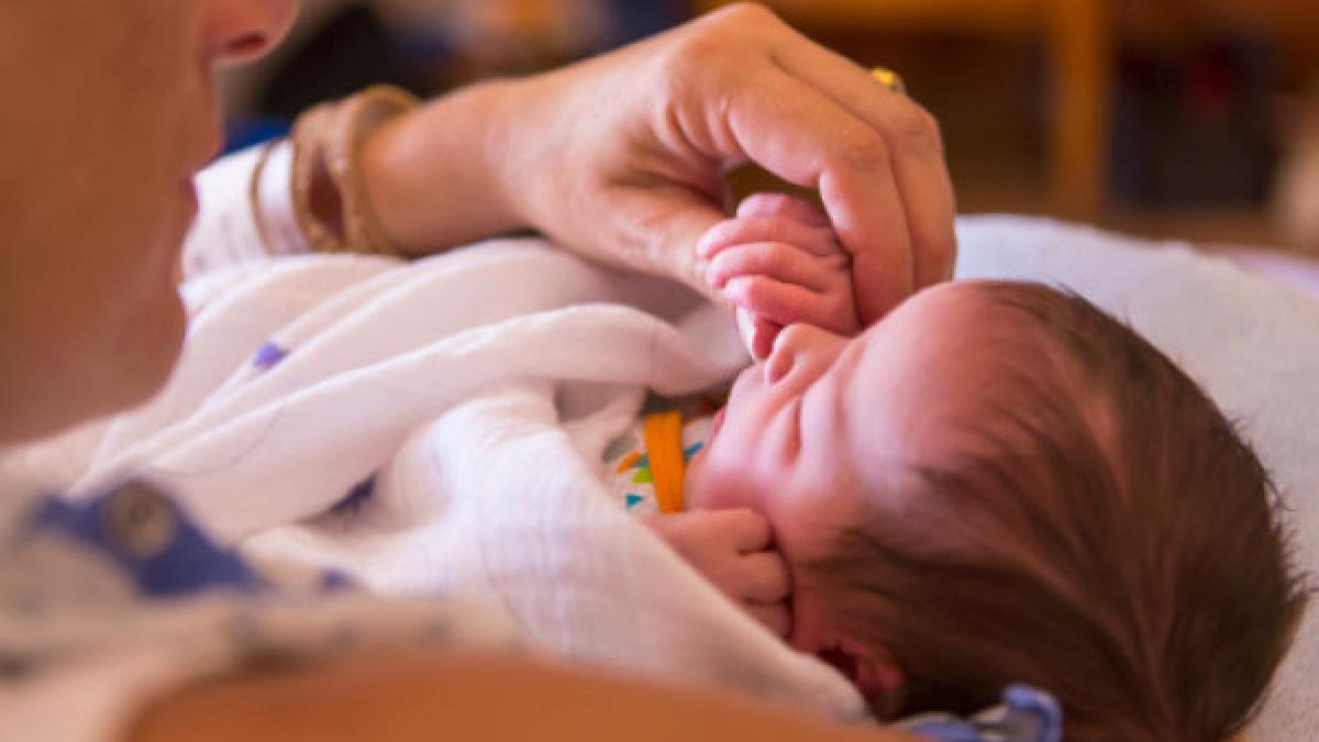 copii_e_coli_14596800