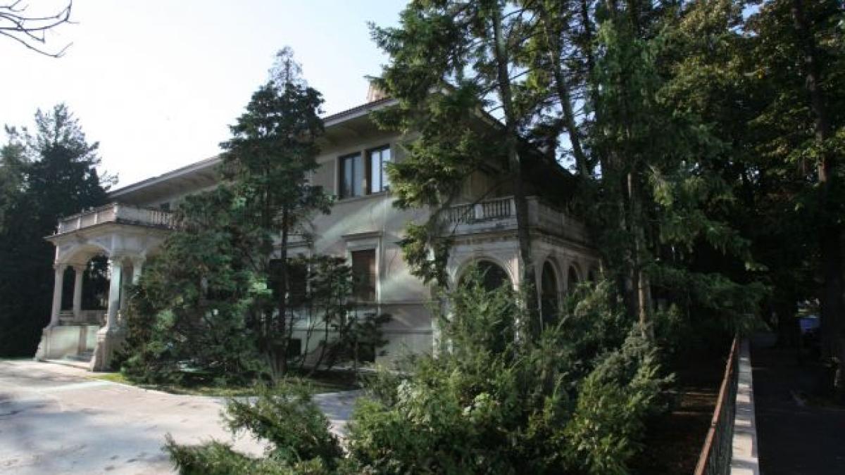 vila_primaverii_50_93384400