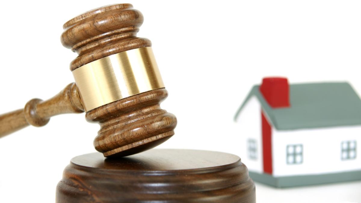 executare_silita_80135300