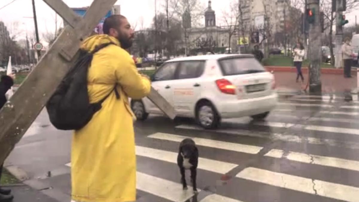 cruce_bucuresti_20878800