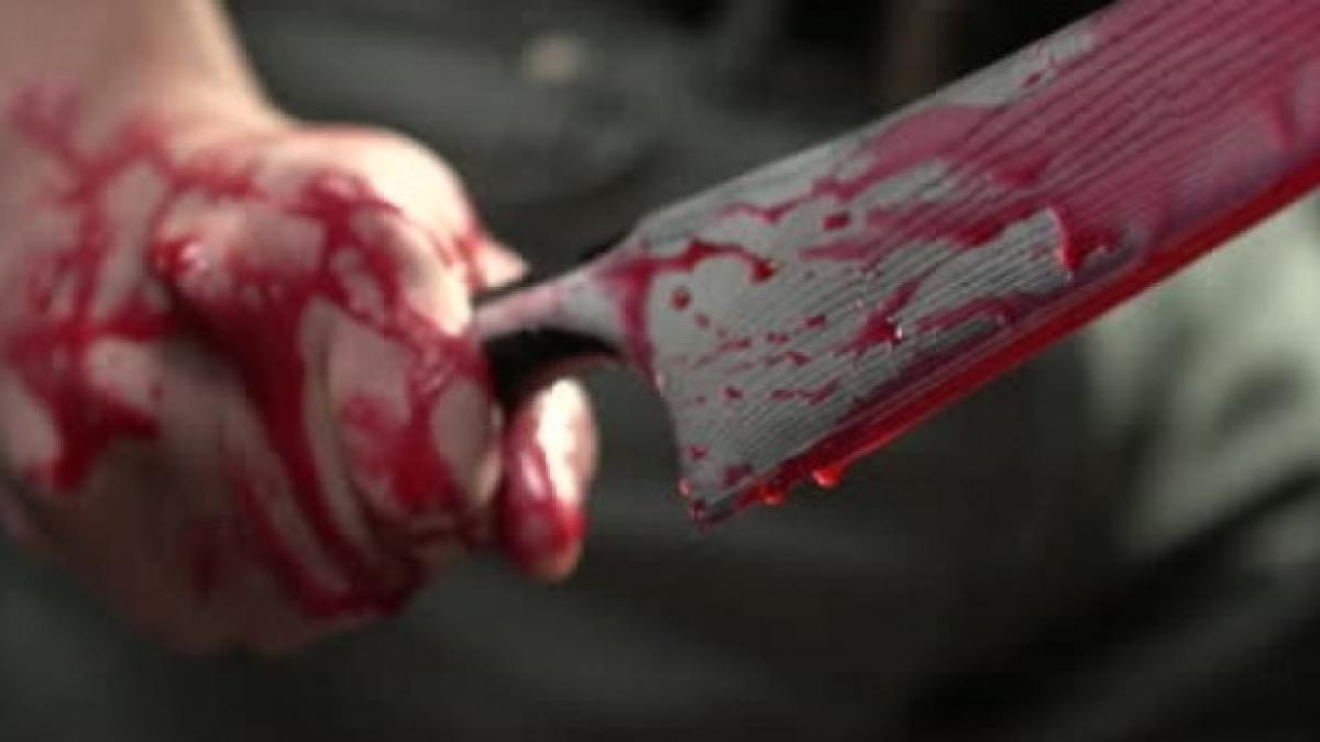 gethumb_details_56607100