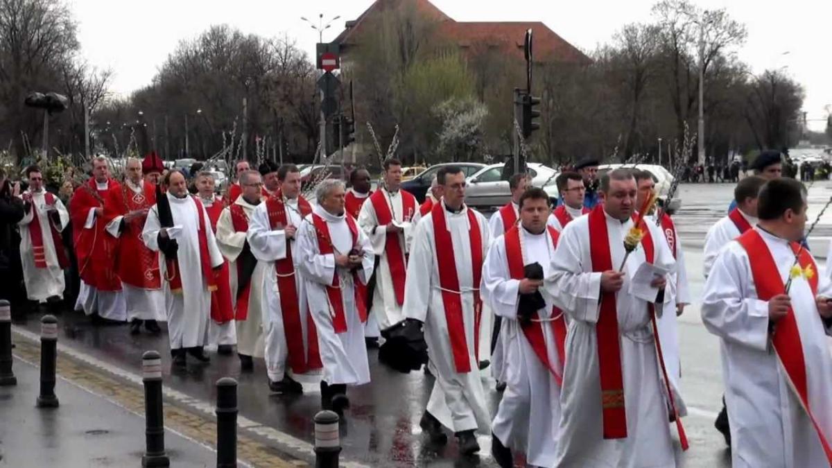 florii_catolici_51481000