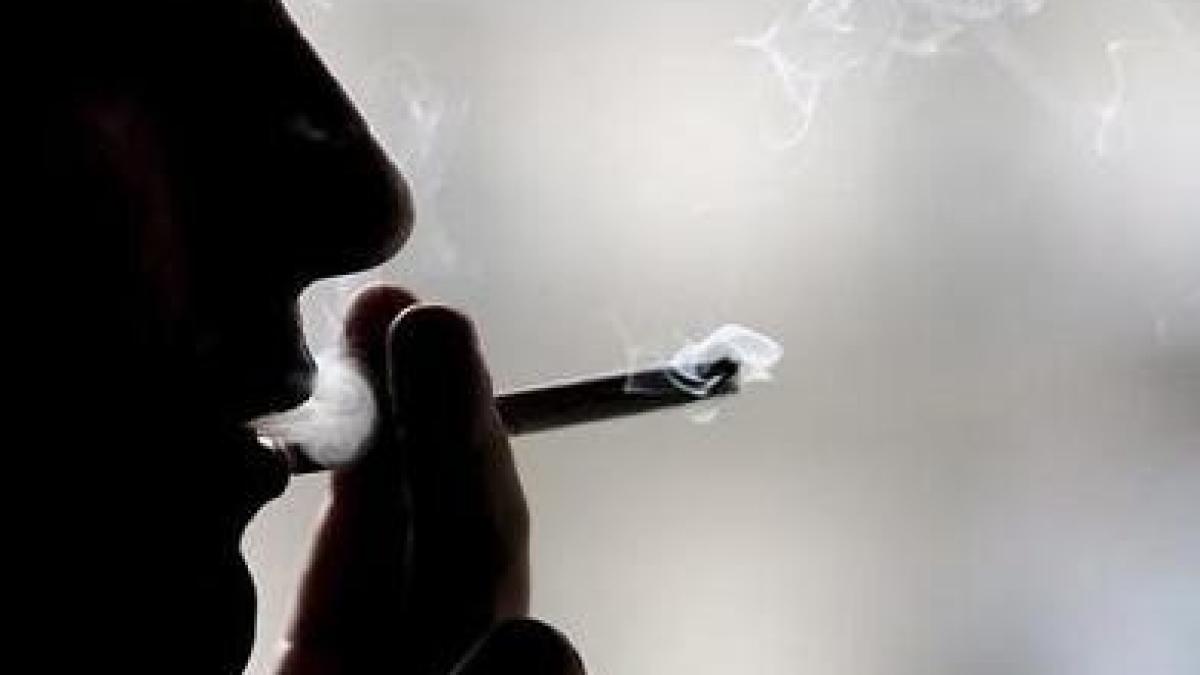 tigari_groapa_de_gunoi_96424700