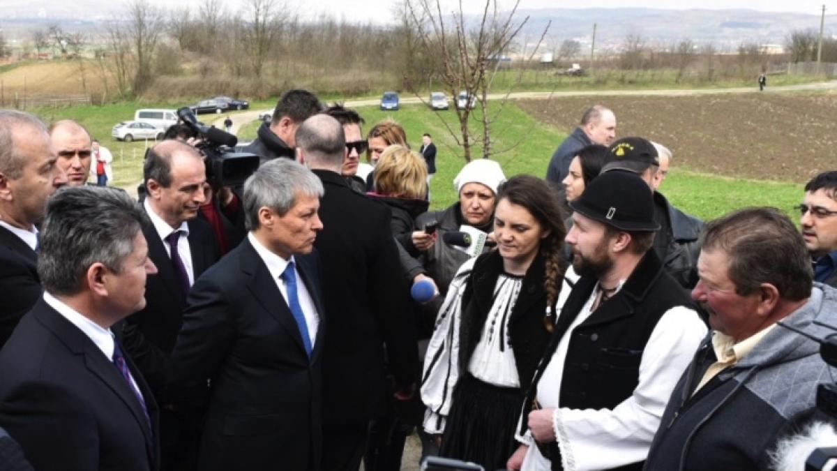ciolos_alba_65535600