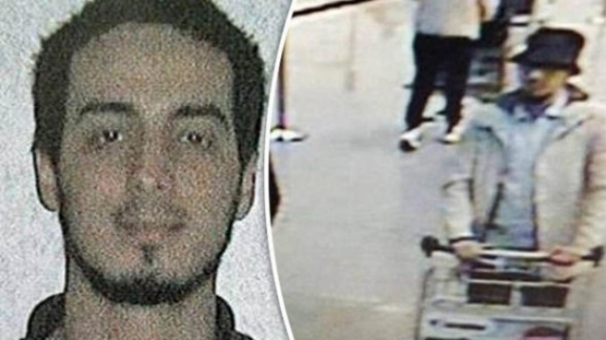 lla_73819800_56938100_81420700