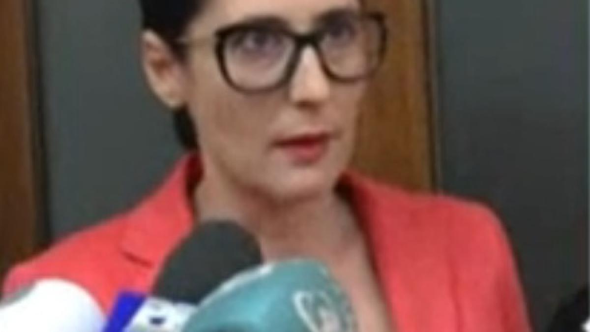 carmen_dinca_87732500