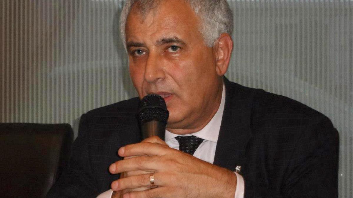 dumitru_pelican_86463400