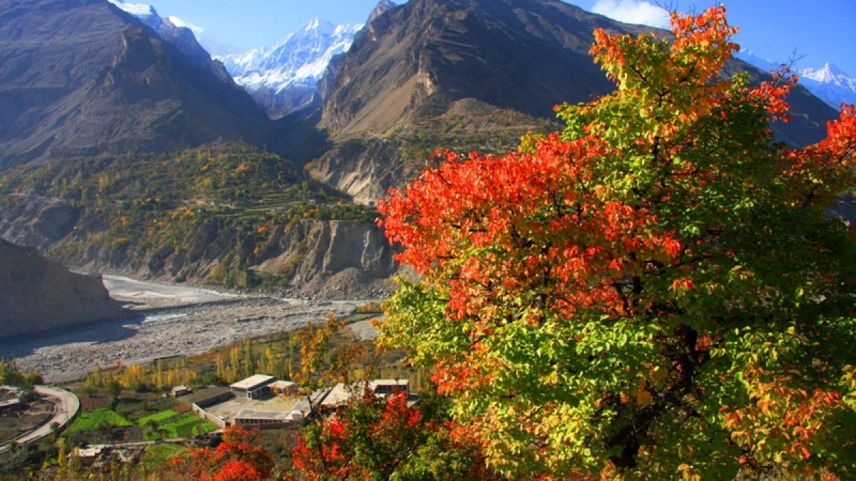 autumn_colours_in_hunza_91076400