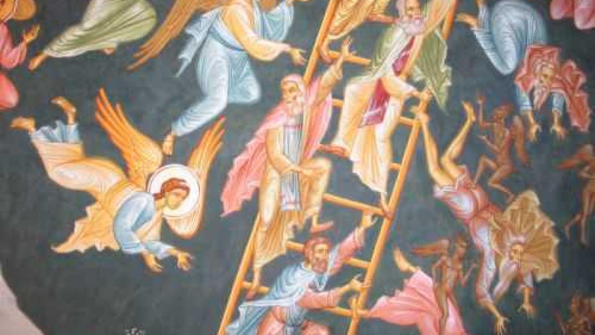 ion_scararu_51038700