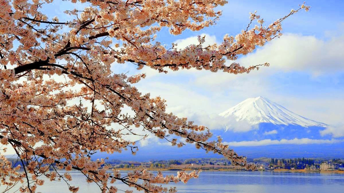 fuji_ciresi_62950000