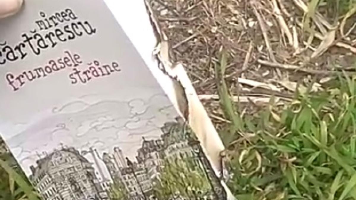 protest cu flacari fa a de videoclipul despre smerenie