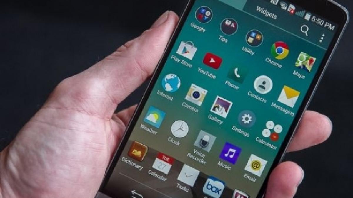 internet_graduit_04865800