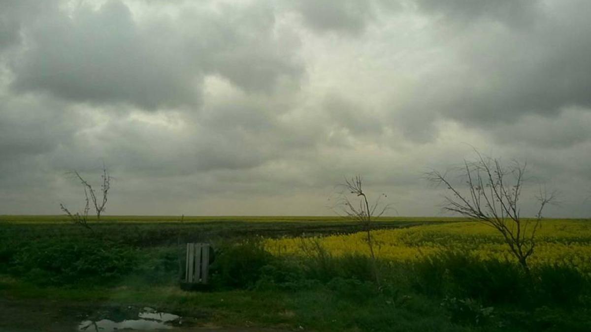 12987150_911567278952159_2757078264043486321_n_93813700