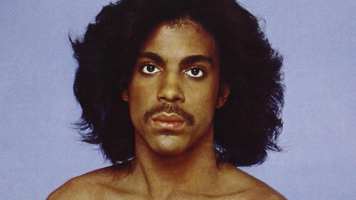 71nsfdlqd7l__sl1073__91014600